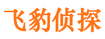 泽库市婚外情调查